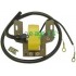 Ηλεκτρονική για κινητήρα BRIGGS & STRATTON Κάθετος 11.0ΗΡ 